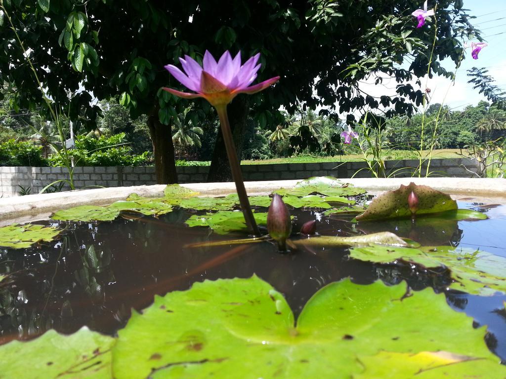 Villa Cinnamon Hills กอลล์ ภายนอก รูปภาพ